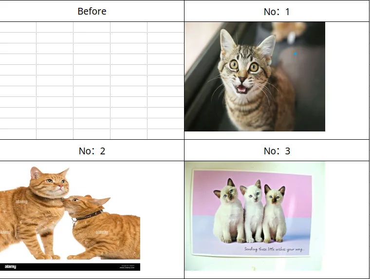 A spreadsheet before and after the Batch Processor: an empty grid labelled Before, then three cells labelled No: 1, No: 2 and No: 3, each filled with a cat photo in order.